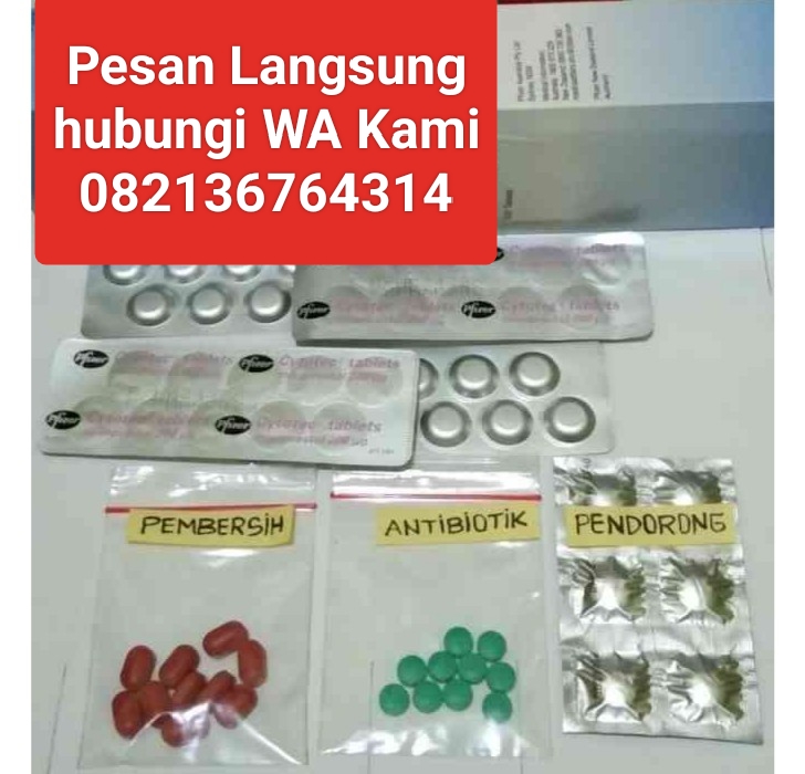 nesa