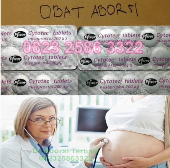 jual-obat-aborsi-langsa